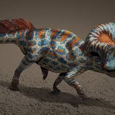 Image result for Dinophora