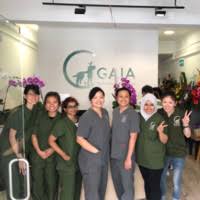 18 jln pari burong, singapore 488684. Claire Tan Chief Veterinary Surgeon Gaia Veterinary Centre Linkedin