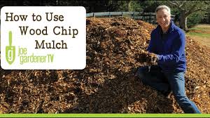 They may accrue a small amount of rocks and trash, but it should constitute less than a couple handfuls of material. Where To Find Free Wood Chip Mulch And How To Use It Youtube