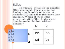 D N A In Humans The Allele For Dimples D Is Dominant The