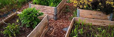 Carre potager a fabriquer construction de votre potager en carrés. Le Potager En Carres Le Temps Se Fige