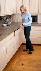 Pest control companies are equipped with the knowledge, skills, and equipment required to handle them. A Academy Brick Nj Pest Control Nj Exterminators