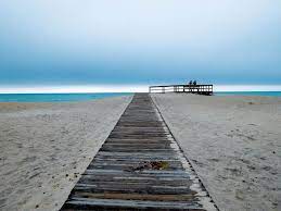 Beach Camping On Maryland S Mythical Assateague Island Beach Camping Camping In North Carolina Beaches Near Me