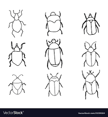 Cute Hand Drawn Bugs Outlines Vector Image On Vectorstock How To Draw Hands Bugs Drawing Outline