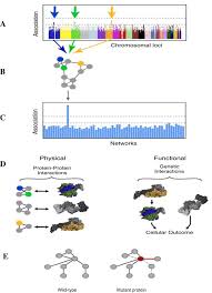 The antibody targets aggregated forms of. Alzheimer S Disease Beyond Amyloid Can The Repetitive Failures Of Amyloid Targeted Therapeutics Inform Future Approaches To Dementia Drug Discovery Sciencedirect