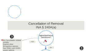 Cancellation Lpr Flow Chart By Kelly White On Prezi