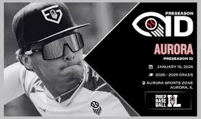 Image result for Aurora White 2010 HS