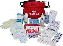 When traveling in malaysia you should avoid mosquito bites to prevent malaria. Impa 392060 First Aid Kits