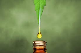 Cancer is one of those grey areas in medical science that still concerns both doctors and victims. Cbd Oil Uk Discover The 8 Best Cbd Oils In The Uk For 2021 Discover Magazine