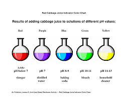 Ph Level Neutral Acidic Or Basic Derya Sunkel