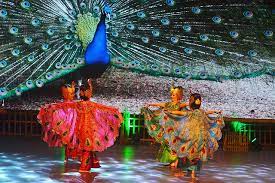 Pola lantai tarian daerah mikirbae com pola lantai lengkung ular dan pola lantai angka delapan pola lantai dibuat untuk memperindah pertunjukan karya tari oleh karena itu dalam pembuatan pola lantai harus memperhatikan beberapa hal antara lain bentuk. Gerakan Tari Merak Lambang Keindahan Bulu Ekor Merak Jantan Kumparan Com