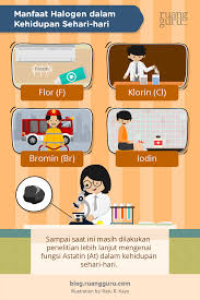 Kimia Kelas 12 Sifat Unsur Halogen Dan Manfaatnya Dalam Kehidupan Sehari Hari