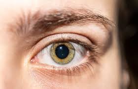 Image result for Mydriatic