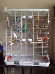 Conure Bird Bath For Cage My Babies Got A New Cage Today It Is The Vision L12 Cage And It Is Perfect I Have Really Been Wanting To Get Them Vision Bird Cage Diy Bird Cage