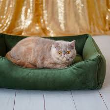 Cat Bed Emerald Green Velvet Cat Floor Pillow For Modern Etsy Cat Bed Dog Lounge Bed Soft Mattress
