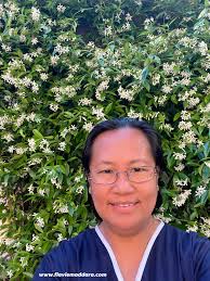 Jasmine flower symbolizes sincerity and love