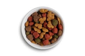 Now largest standalone pet products company in north americaabout big heart. State Of The Us Pet Food And Treat Industry 2019 2019 12 19 Pet Food Processing