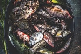 Soupe De Poissons Marseillaise Quatre Saisons Au Jardin Recette Soupe De Poisson Poisson Comment Cuisiner