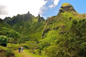 Limahuli National Tropical Botanical Garden On Kauai 2573117 Sfgate