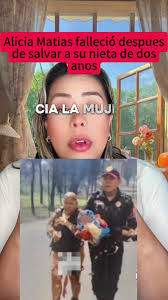 A Grandson in Danger and A Brave Grandma