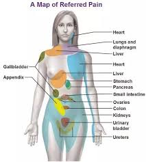 Inside your gall bladder is bile, a. Could It Be Internal Organ Pain That One Can Misinterpret As Right Oblique Abdominal Pain Quora