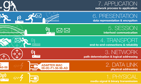 Hasil gambar untuk osi layer