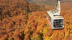 Image result for Hakkoda Walk