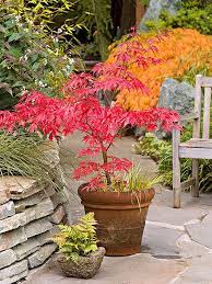 Maybe you would like to learn more about one of these? Create A Fall Garden Retreat Small Japanese Garden Autumn Garden Japanese Garden
