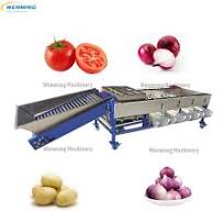 Factory Direct Sales Fruit Size Sorting Machine Blueberry Grading Machine