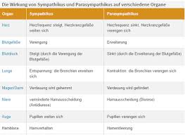 Aug 30, 2017 · aufbau der halswirbel. Nervensystem Und Gehirn Vorbereitung Auf Den Msa