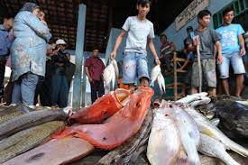 Yuk simak ulasan berikut ini : Harga Ikan Rohu Sekilo Harga Ikan Kembung Naik Jadi Rp 35 Ribu Kg Ini Penyebabnya