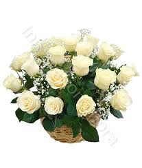 Cesto di Rose bianche