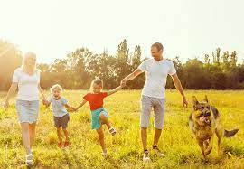 Hauppauge animal hospital gives essential veterinary consideration to your pets. Port St Lucie Veterinarian North Port St Lucie Animal Hospital