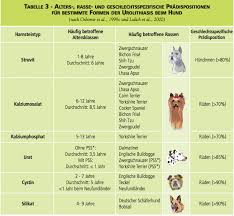 Alles Uber Blasenkristalle Blasenentzundung Und Inkontinenz Beim Hund Leswauz