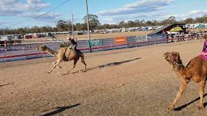 A doorbell camera has captured the moment a thief drove off in a courier's van while he was delivering an amazon package to a house in greater manchester. Tara Festival Of Culture And Camel Races Videos Facebook