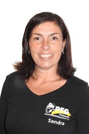 Pforzheimer Faschingsgesellschaft e.V.