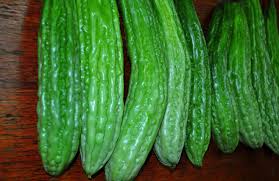 Check spelling or type a new query. How To Grow Ampalaya Bitter Gourd For Business