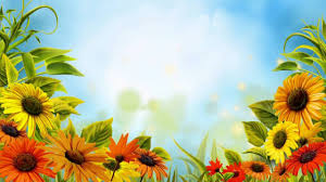 This artical include new pack of hd editing backgrounds and instagram viral editing backgrounds. Free Hd Wedding Background Free Download Motion Background Free Video Flower 002 Youtube