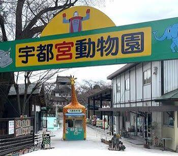 動物が“いい顔”する園に 民間初の「登録博物館」となった宇都宮動物園 何が変わる？｜県内主要,地域の話題,動画,＃D,社会,経済｜下野新聞デジタルニュース｜しもつけshort｜下野新聞デジタル