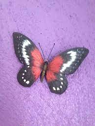Las Mariposas Son Simbolo De Pasion Y Amor Pudes Colocarlas En Tu Recamara En Forma De Pares Disenos De Unas Animales Relax