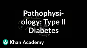 pathophysiology type ii diabetes video khan academy