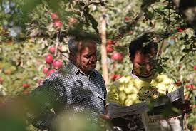 Jak złożyć w sympatyczny sposób życzenia urodzinowe po niemiecku? Zyczenia Na Dzien Ojca Lublin Gosc Pl