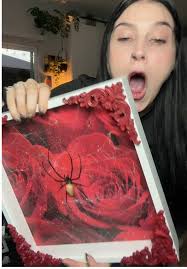 Where Can You Find An Orb Weaver Egg