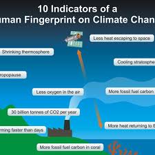 How Do We Know Humans Are Causing Global Warming Vox