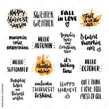 Spaetzle, pumpkin spice, and everything nice. 20 Best Pumpkin Spice And Everything Nice Images Stock Photos Vectors Adobe Stock