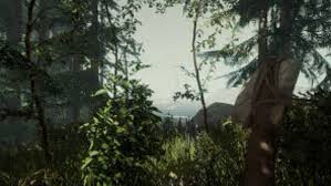The game highlights an open world climate in a thickly woods territory. The Forest Pc Version Full Game Free Download Gaming Debates