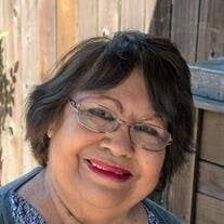 Maria Elena Ervin Obituary