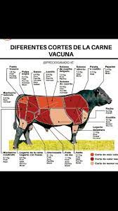 Si alguna vez te has sentido perdido en que corte de carne comprar cuando has estado pasando una temporada fuera de tu país de origen, será porque el nombre que recibe el corte que estas acostumbrado a consumir tiene un nombre distinto allí, es la razón por la que no lo encuentras. Invelecar On Twitter Diferentes Cortes De Carne De Bovino