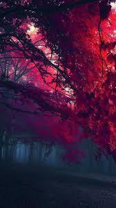 We would like to show you a description here but the site won't allow us. Z E D G E Wallpaper Shakal Blog
