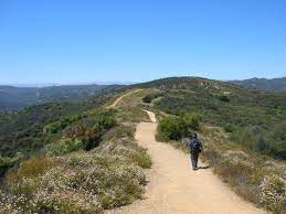 Topanga State Park Hikes Topanga State Park State Parks Park